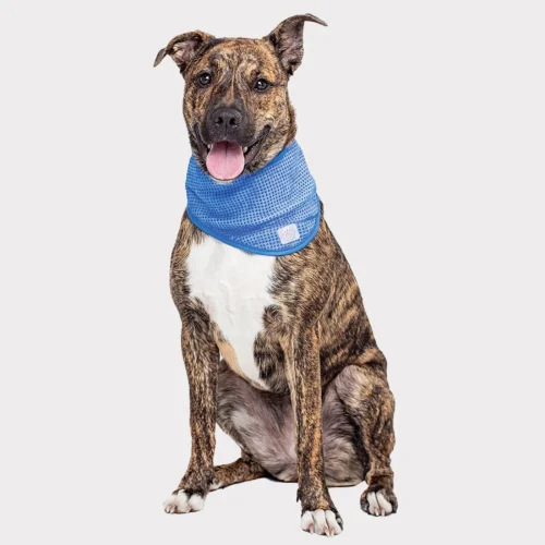 GF Pet Ice Band