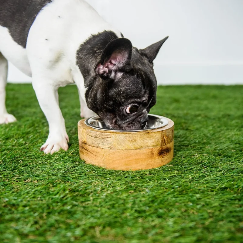 GF Pet Mango Wood Bowl – Single Eco-Friendly Pet Feeding Bowl
