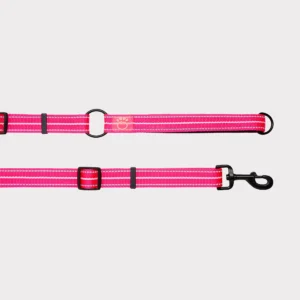 GF Pet Reflective Leash - EEZY-6