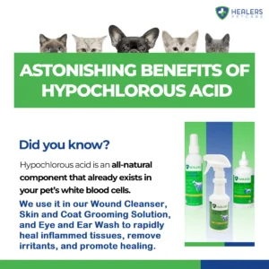 Healers Skin & Coat Grooming Solution