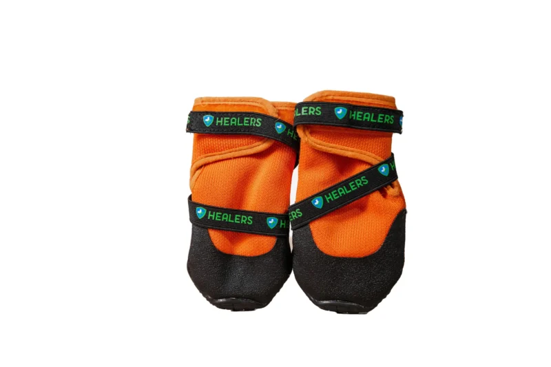 Urban Walkers III – Dog Walking Shoes
