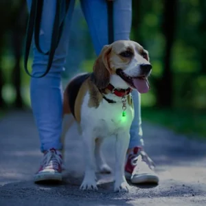Pet Blinkers Flashing LED Pet Safety Light